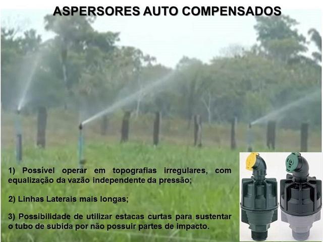 dracen_18_maio_2013 (91).JPG